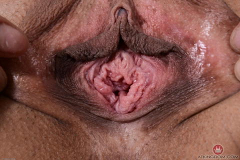 Gia Vendetti - Gia Vendetti Up Close And Spread Wide! - photo 14 of 19