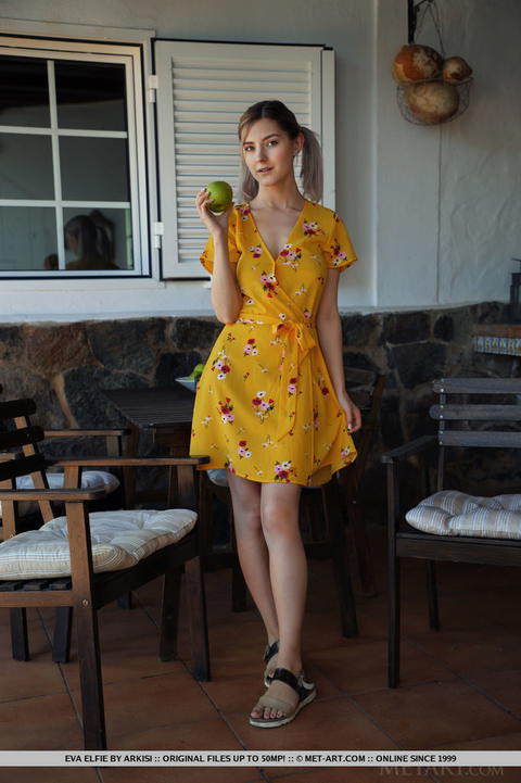 Eva Elfie - Eva Elfie In A Dress With No Bra And Panties! - photo 1 of 1