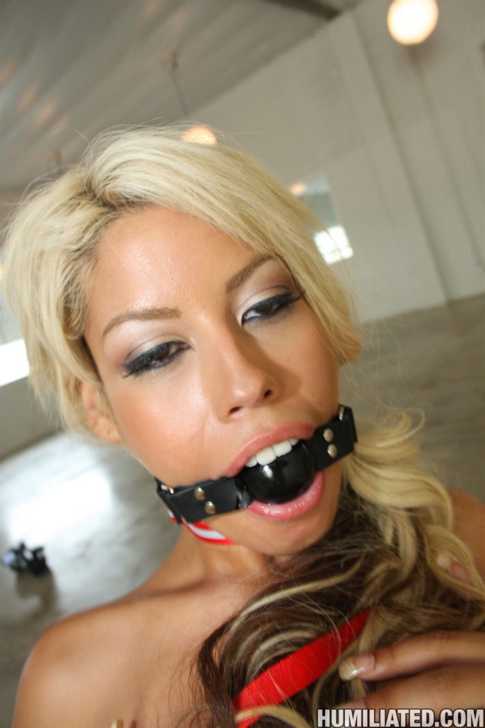 Bridgette B Ball Gag