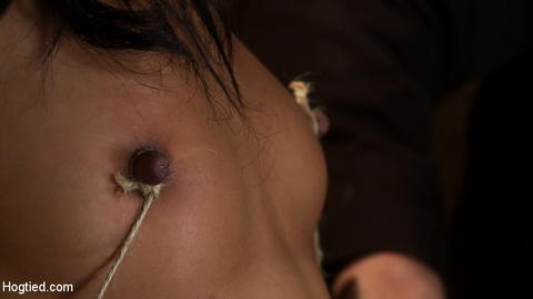 Skin Diamond - Skin Diamond Pictures Of Her Hog Tied! - photo 9 of 15