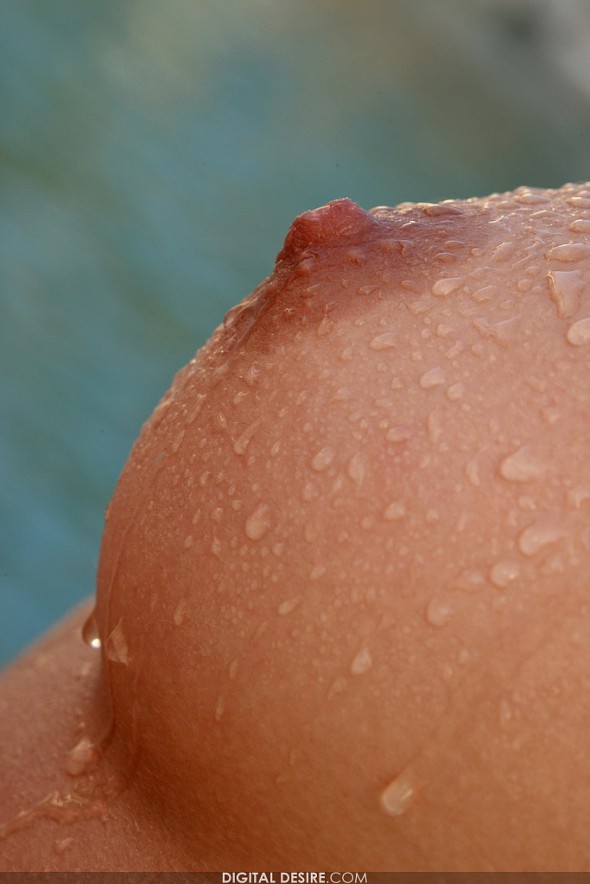 Shyla Jennings Wet
