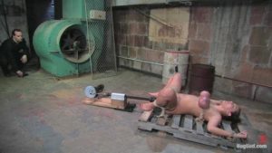 Trina Michaels Hog Tied and Anal Action!