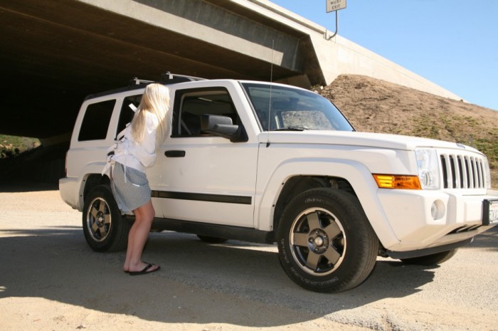Shay Golden Hitch Hiker
