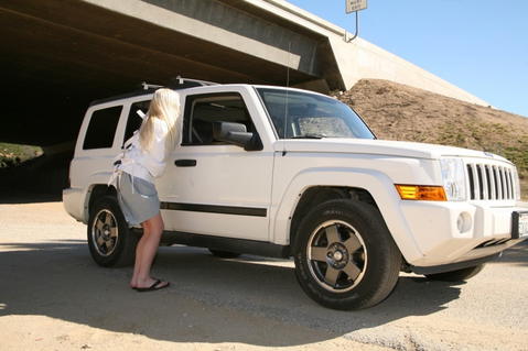 Shay Golden Hitch Hiker