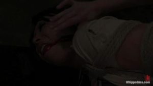 Soolin Kelter Gets Some S&M Action From Harmony!