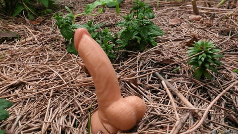 Alexis Fawx - Alexis Fawx Is Fucking A Dildo While Out In Her Garden! - photo 5 of 24