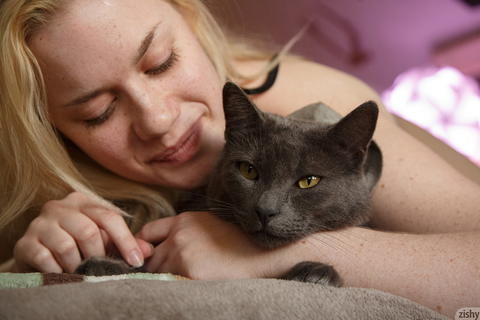 Zishy - Wren Davis Cats And Stars! - photo 6 of 8
