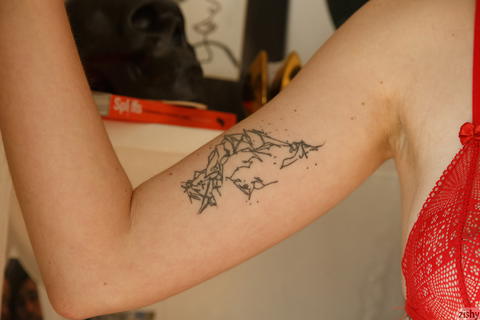 Zishy - Marie Boitte Stop And Think Pictures. - photo 4 of 8