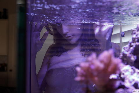 Zishy - Emelia Pearl Aquarium Teardrops Fall Pictures! - photo 2 of 8