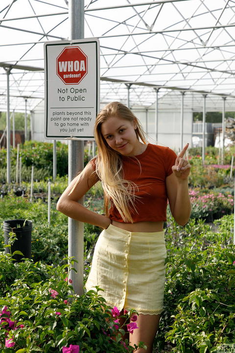 Zishy - Brandy Gila Valley Growers Pictures! - photo 5 of 8