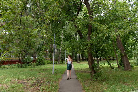 Zishy - Olga Cee Inverted Introvert. - photo 1 of 8