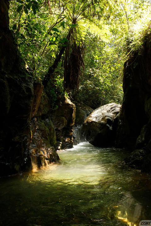 Zishy - Ileana Burgos Amoeba Falls. - photo 1 of 8
