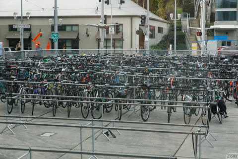 Zishy - Patsy Ford Tram Rights Pictures. - photo 3 of 8