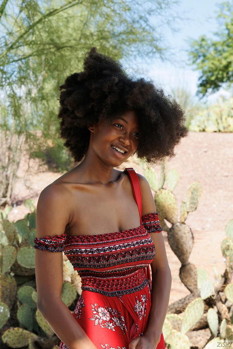Zishy - Angel Avril Heated Obsidian! - photo 1 of 1