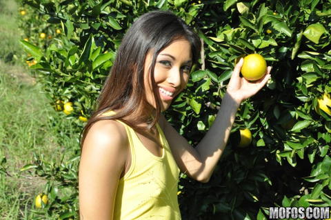 Cali Lee - Cali Lee Is Fucking In An Orange Grove! - photo 1 of 1