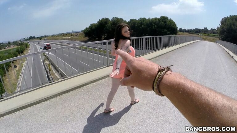 Harmony Reigns - Harmony Reigns Having Sex Under A Bridge! - photo 1 of 1