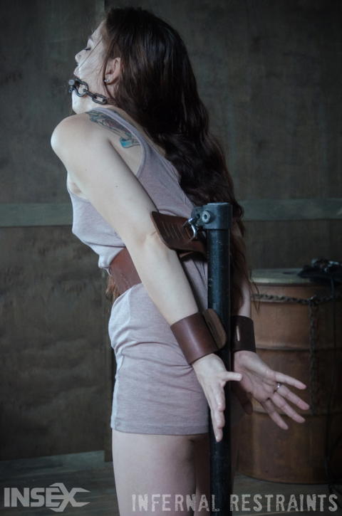 Bobbi Dylan - Bobbi Dylan And Bound Up For Infernal Restraints! - photo 1 of 1