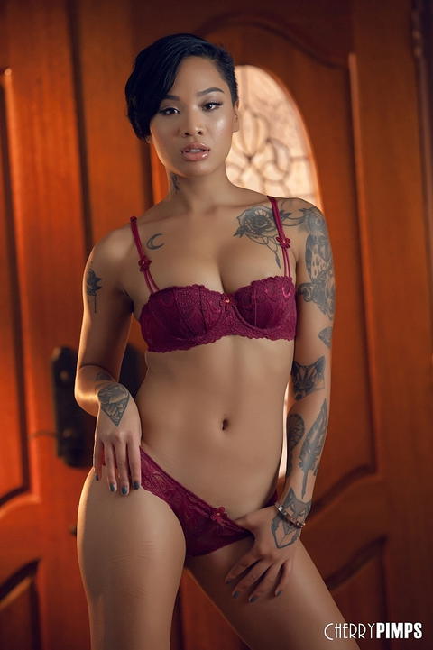 Honey Gold - Honey Gold Showing Off Her Perfect Ebony Body and Pussy in Sexy Bra and Panties! - photo 1 of 1