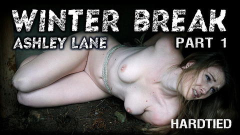 Ashley Lane - Ashley Lane Hardtied Bondage Pictures! - photo 16 of 16